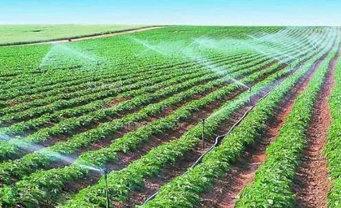 肉棒插入小穴高清视频农田高 效节水灌溉